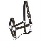 HALSTER HORSEGEAR ZARI Black-Gold