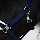 Halter And Lead Friesianhorse By Horsegear Dark Blue