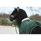Halter And Lead Friesianhorse By Horsegear Dark Green