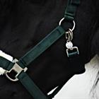 Halter And Lead Friesianhorse By Horsegear Dark Green