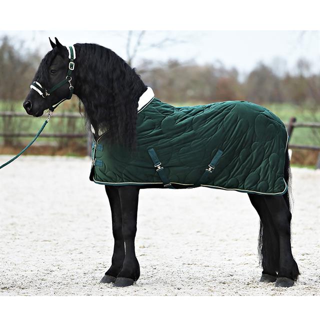 Halter And Lead Friesianhorse By Horsegear Dark Green