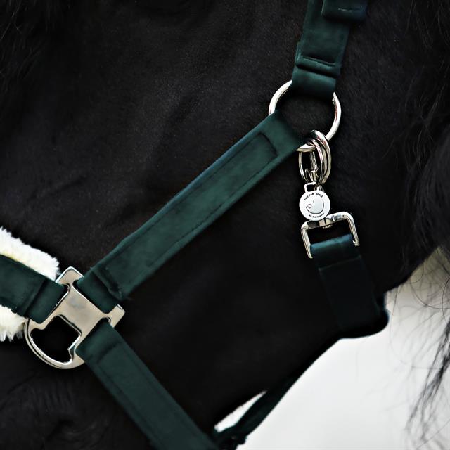 Halter And Lead Friesianhorse By Horsegear Dark Green