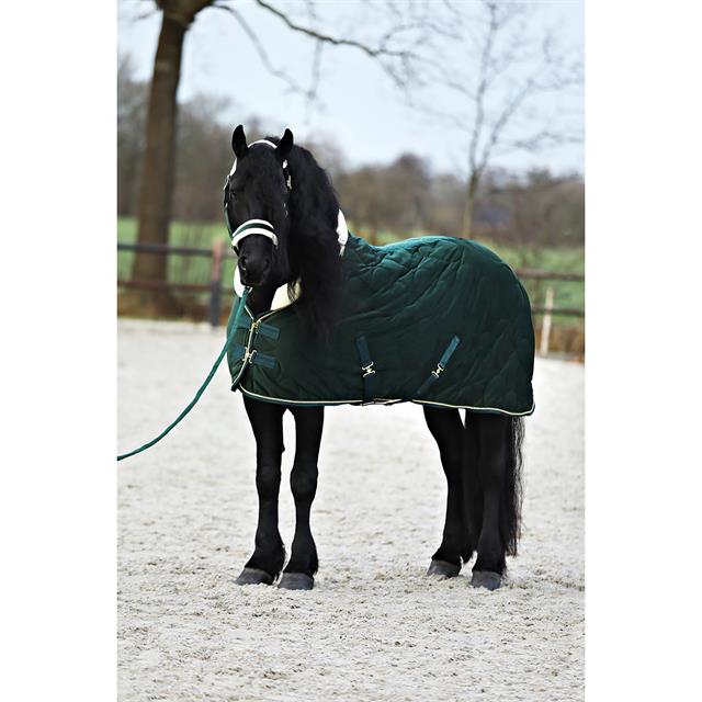 Halter And Lead Friesianhorse By Horsegear Dark Green