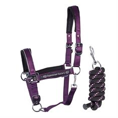 Halter And Lead Harry's Horse Dividal Dark Purple