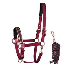 Halter And Lead Harry's Horse La Gloria