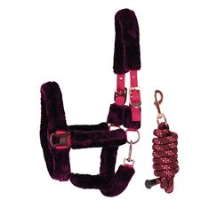 Halter And Lead Harry's Horse Reine Dark Purple