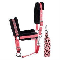 Halter and Lead Harry's Horse Stout! Coral Soft Pink-Black