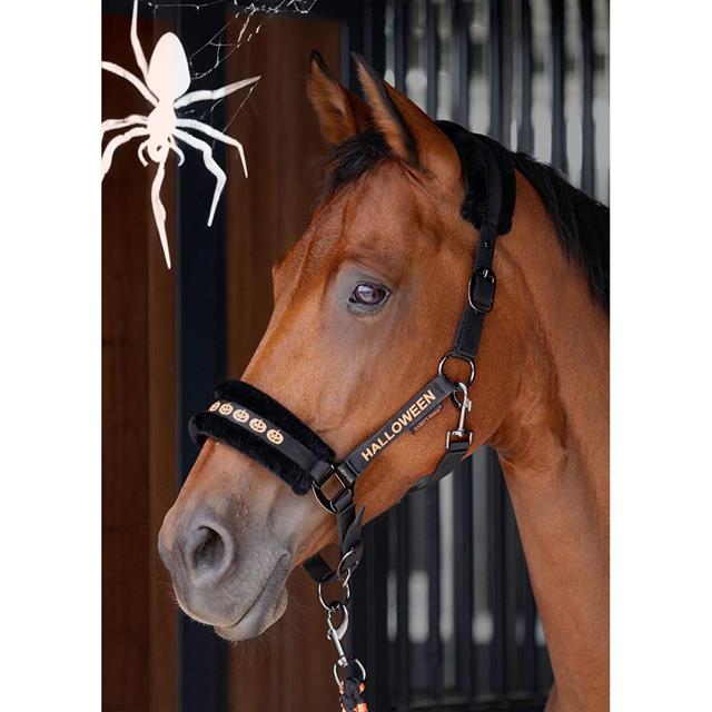Halter and Lead Rope Harry's Horse Halloween Black