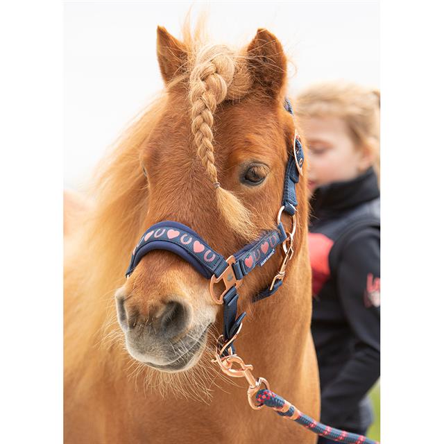 Halter and Lead Rope Harry's Horse LouLou Mekmes Blue