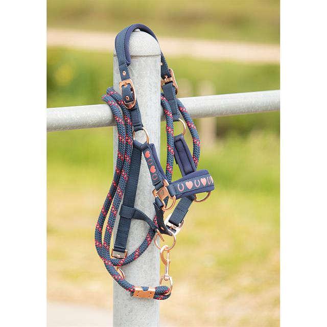 Halter and Lead Rope Harry's Horse LouLou Mekmes Blue