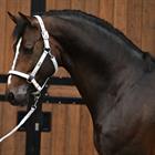 Halter And Lead Rope Horsegear HGSparkle Silver