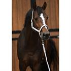 Halter And Lead Rope Horsegear HGSparkle Silver