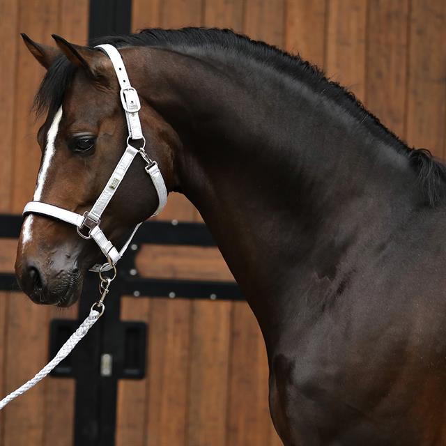 Halter And Lead Rope Horsegear HGSparkle Silver