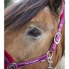 Halter and Lead Rope Horsegear Reno Dark Red