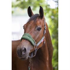 Halter and Lead Rope LeMieux Vogue Dark Green