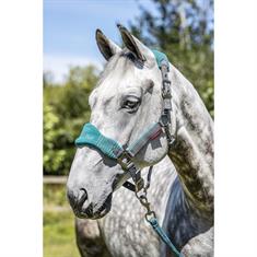 Halter and Lead Rope LeMieux Vogue Grey-Turquoise