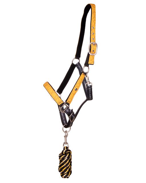 Halter and Lead Rope QHP Turnout Collection Yellow