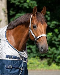 Halter and Lead Rope QHP Turnout Collection