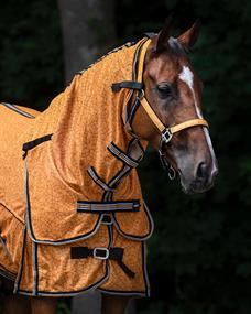 Halter and Lead Rope QHP Turnout Collection