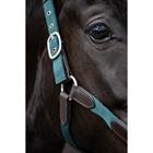 Halter and Lead Rope SKØL SKAslög Dark Green-Brown
