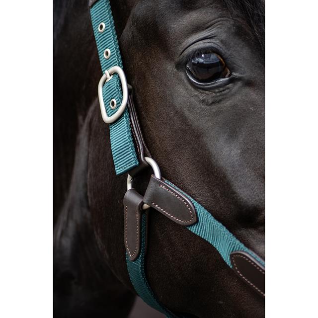 Halter and Lead Rope SKØL SKAslög Dark Green-Brown