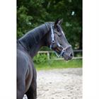 Halter and Lead Rope SKØL SKAslög Light Blue-Brown