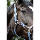 Halter and Lead Rope SKØL SKAslög Light Blue-Brown