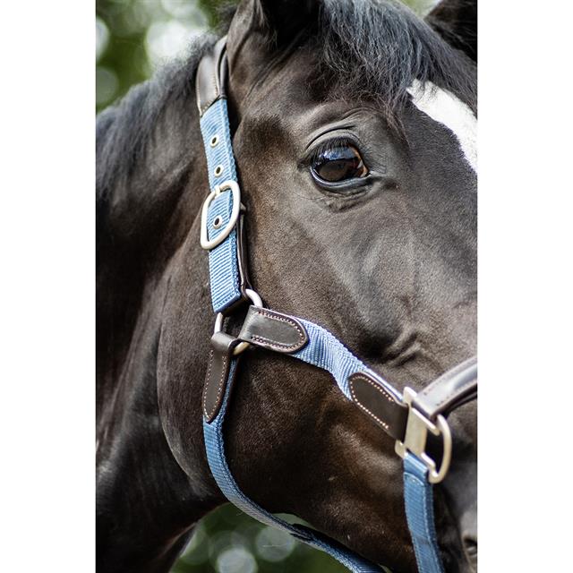 Halter and Lead Rope SKØL SKAslög Light Blue-Brown