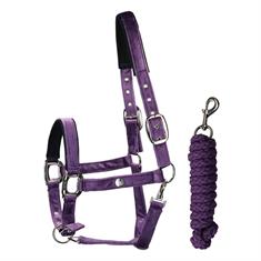 Halter and Lead SKØL Velvet Dark Purple