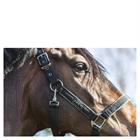 Halter Anky Grooming Black