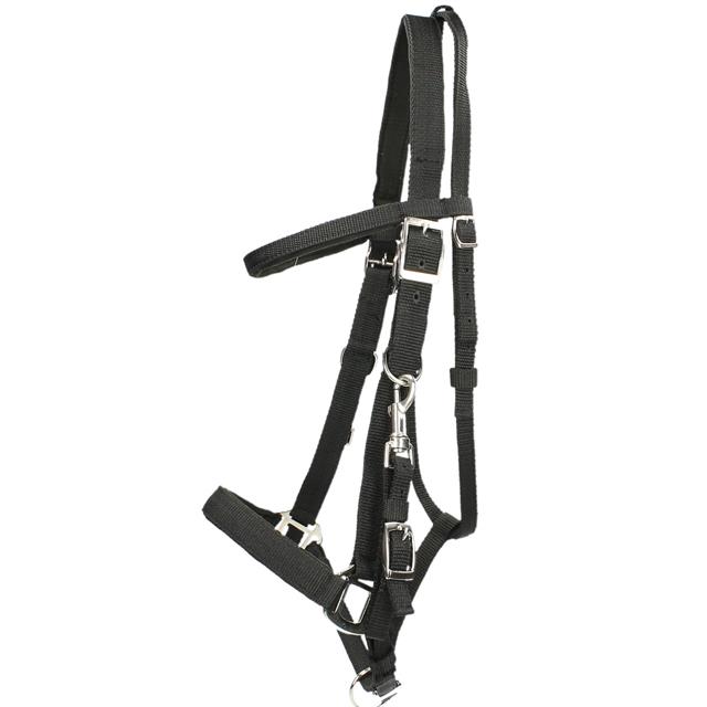 Halter - Bridle Harry's Horse Nylon Black