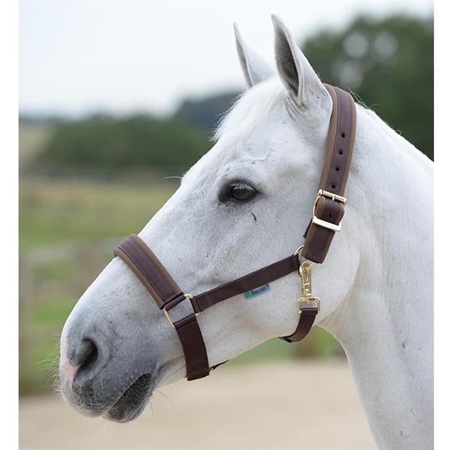 Halter Bucas Comfort Brown