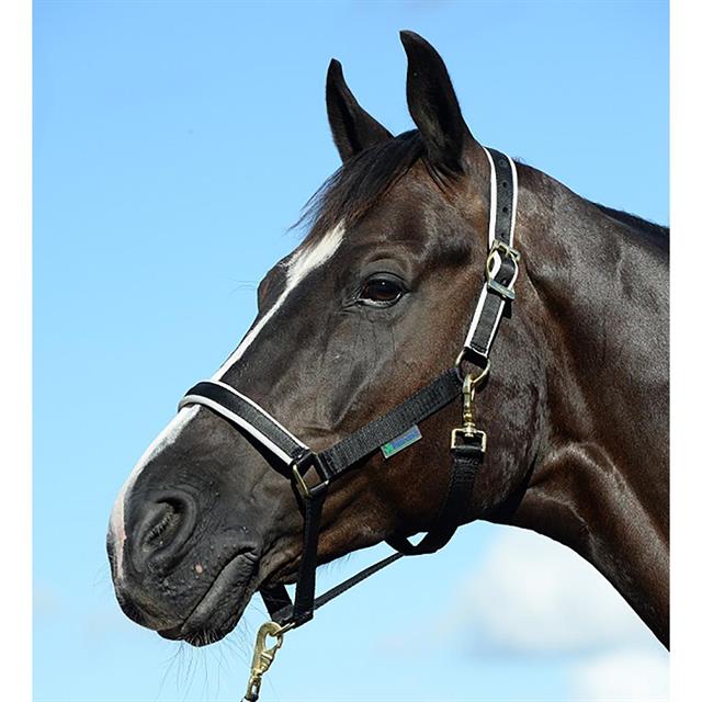 Halter Bucas Dublin Black-Silver