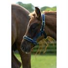 Halter Bucas Dublin Dark Blue-Silver