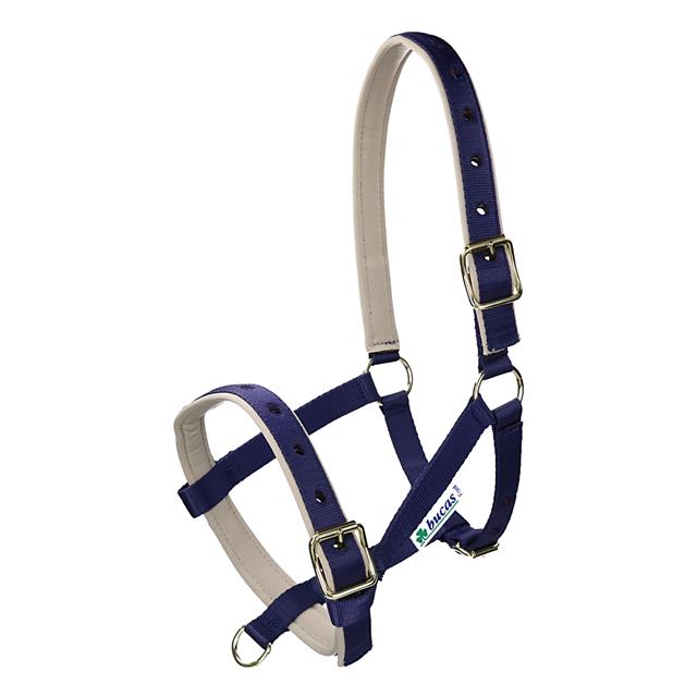 Halter Bucas Dublin Dark Blue-Silver