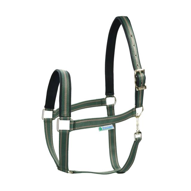 Halter Bucas Dublin Dark Green