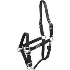 Halter Busse Riding