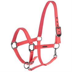 Halter Covalliero Horse Pink
