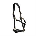 Halter D Collection by Dy'on Black