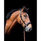 Halter D Collection by Dy'on Black