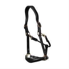 Halter D Collection by Dy'on Black