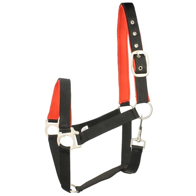 Halter Epplejeck EJEsprit Black-Red