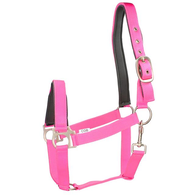 Halter Epplejeck EJEsprit Pink-Grey