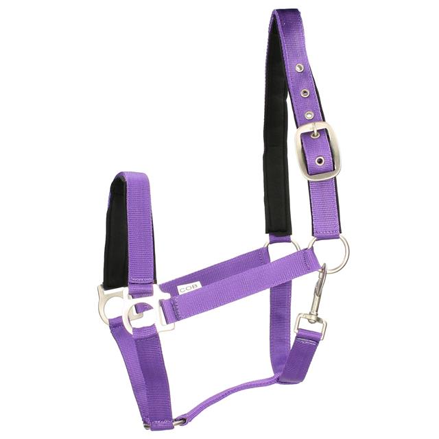 Halter Epplejeck EJEsprit Purple-Black