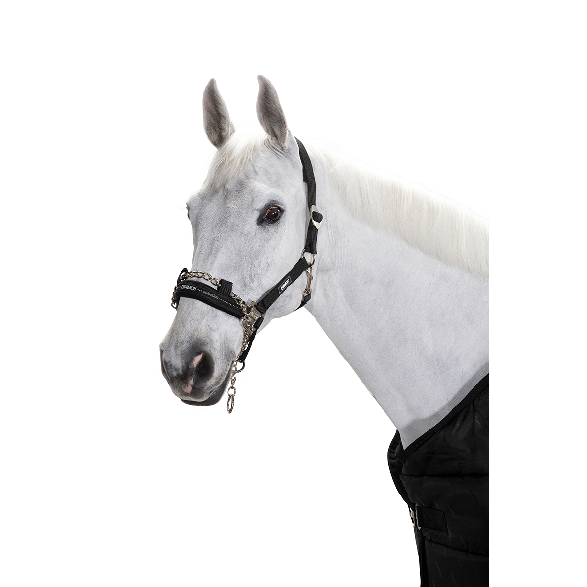 PONY FREE UK Postage BLACK Headcollar with Chain Control Halter 