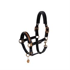 Halter Eskadron Platinum Double Pin Velvet Jewel Black