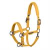 Halter Eskadron Platinum Faux Leather Double Pin Yellow