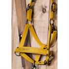 Halter Eskadron Platinum Faux Leather Double Pin Yellow