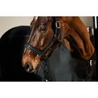 Halter Eskadron Platinum Softshell Pearls Double Pin Black