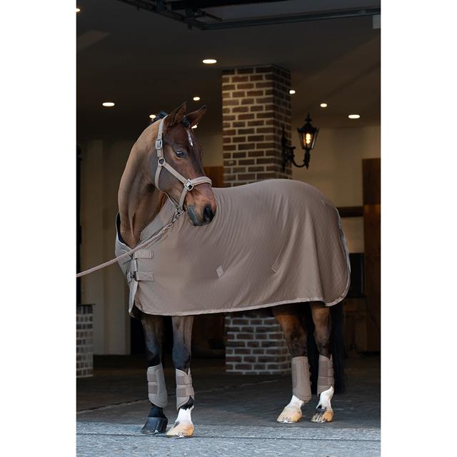 Halter Eskadron Platinum Softshell Pearls Double Pin Light Brown